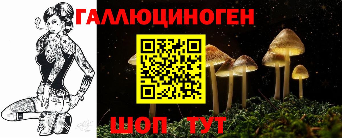 Псилоцибиновые грибы Psilocybine cubensis Торжок