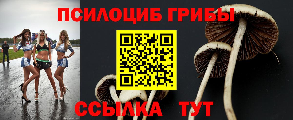 Галлюциногенные грибы Psilocybine cubensis  Вход с VPN  Торжок  Галлюциногенные грибы прущие грибы 